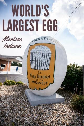 Ride to the Giant Egg - 